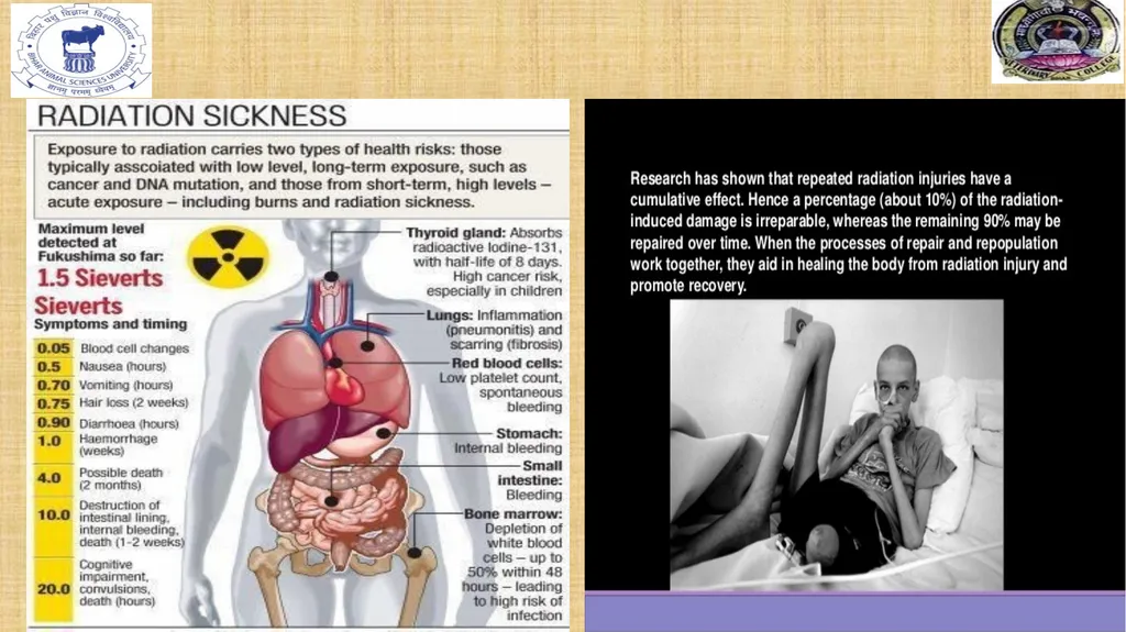RADIATION POLLUTION RADIATION Radiation refers to - slide 11 of 15