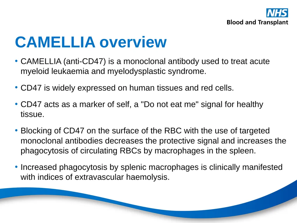 Therapeutic monoclonal antibodies & blood - slide 8 of 18