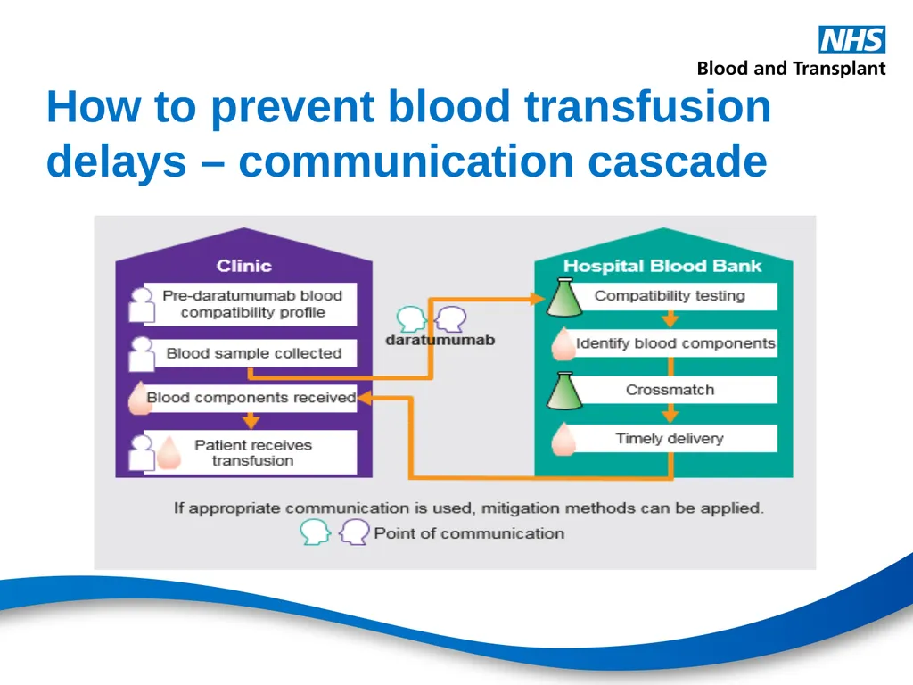 Therapeutic monoclonal antibodies & blood - slide 13 of 18