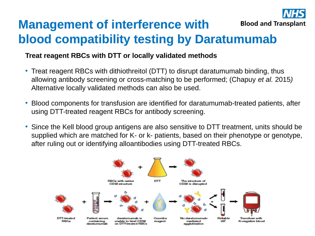 Therapeutic monoclonal antibodies & blood - slide 7 of 18