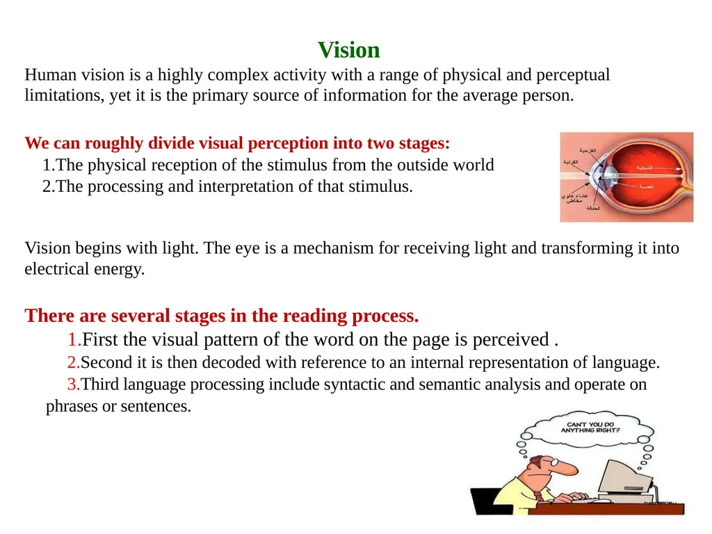 Human Computer Interaction Human Factor Human’s - slide 4 of 12