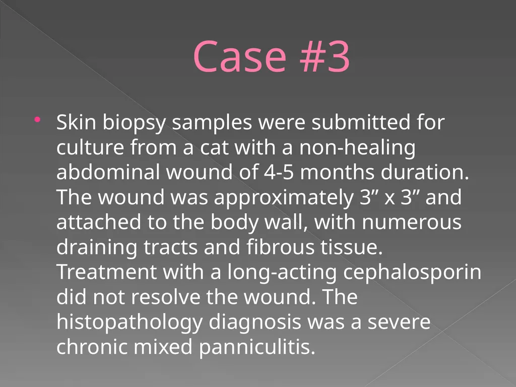 2009 AAVLD Internal Bacteriology Quality Assurance - slide 18 of 32