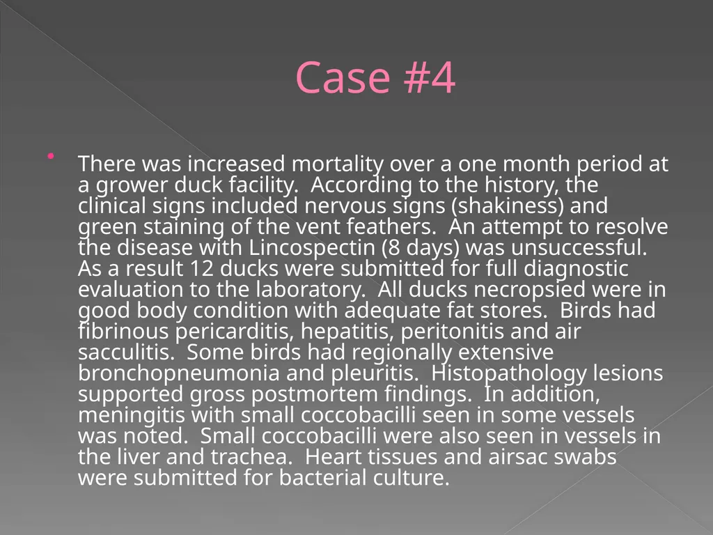 2009 AAVLD Internal Bacteriology Quality Assurance - slide 26 of 32