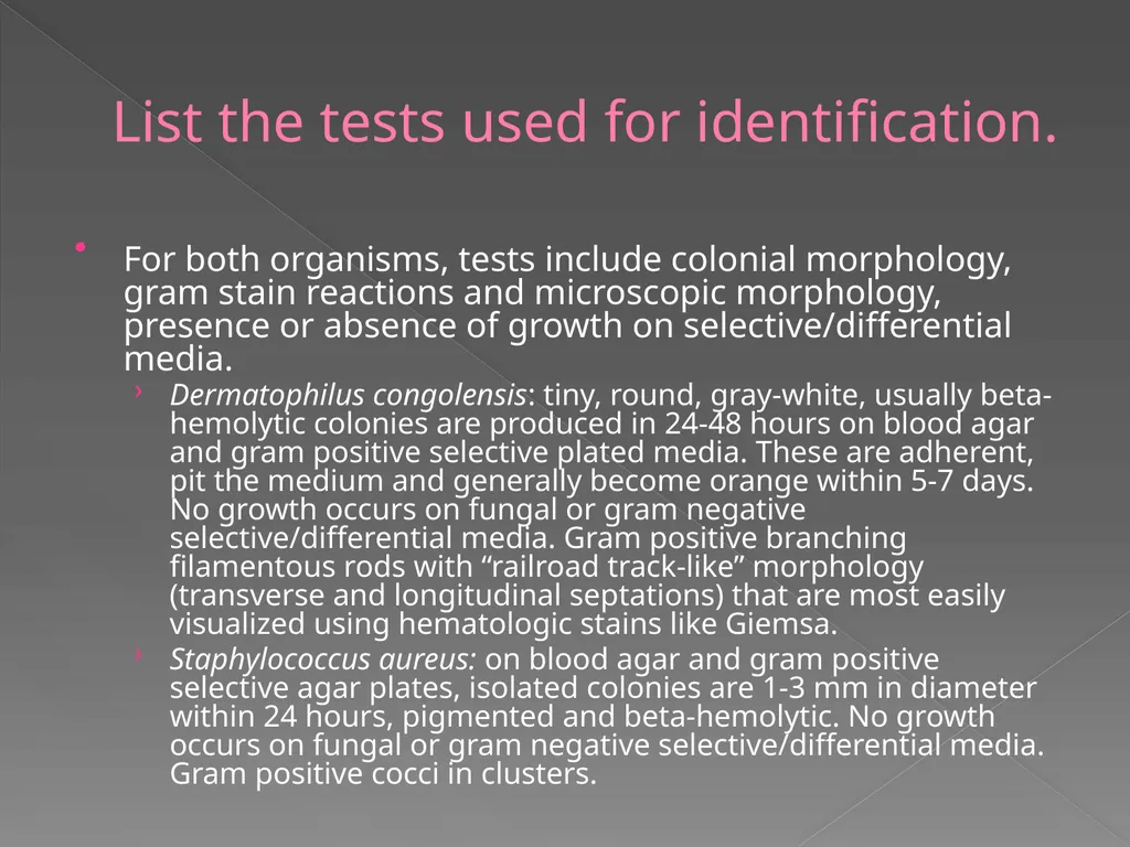 2009 AAVLD Internal Bacteriology Quality Assurance - slide 13 of 32