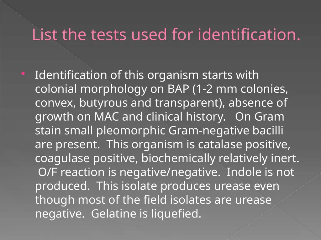 2009 AAVLD Internal Bacteriology Quality Assurance - slide 29 of 32
