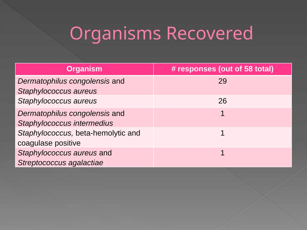 2009 AAVLD Internal Bacteriology Quality Assurance - slide 15 of 32