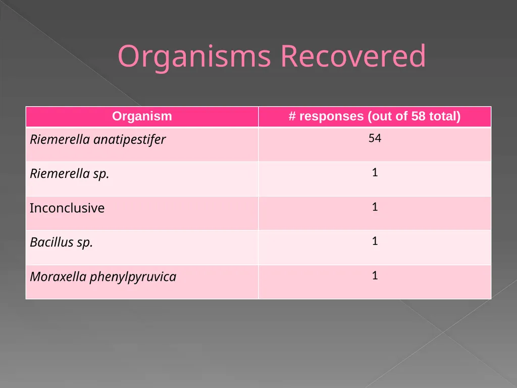 2009 AAVLD Internal Bacteriology Quality Assurance - slide 31 of 32