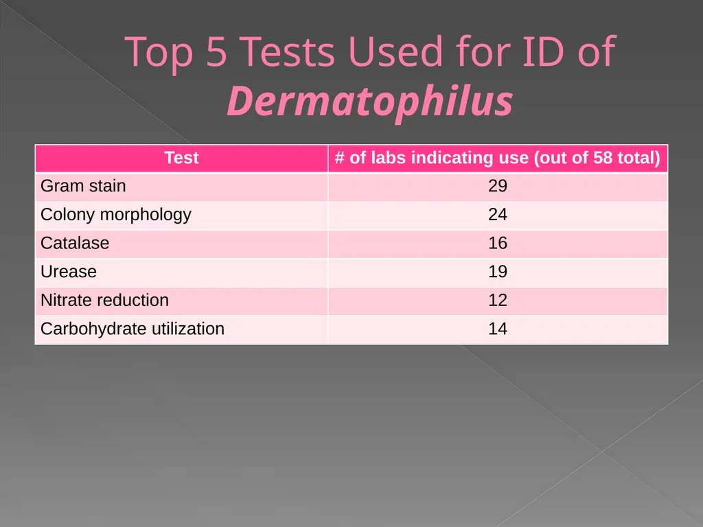 2009 AAVLD Internal Bacteriology Quality Assurance - slide 16 of 32