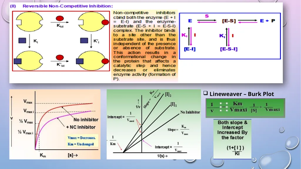 Enzyme Inhibition By-Shubhani singh thakur - slide 9 of 19