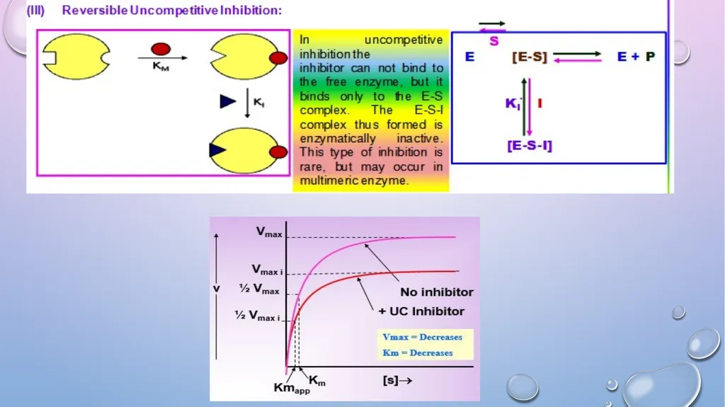 Enzyme Inhibition By-Shubhani singh thakur - slide 11 of 19