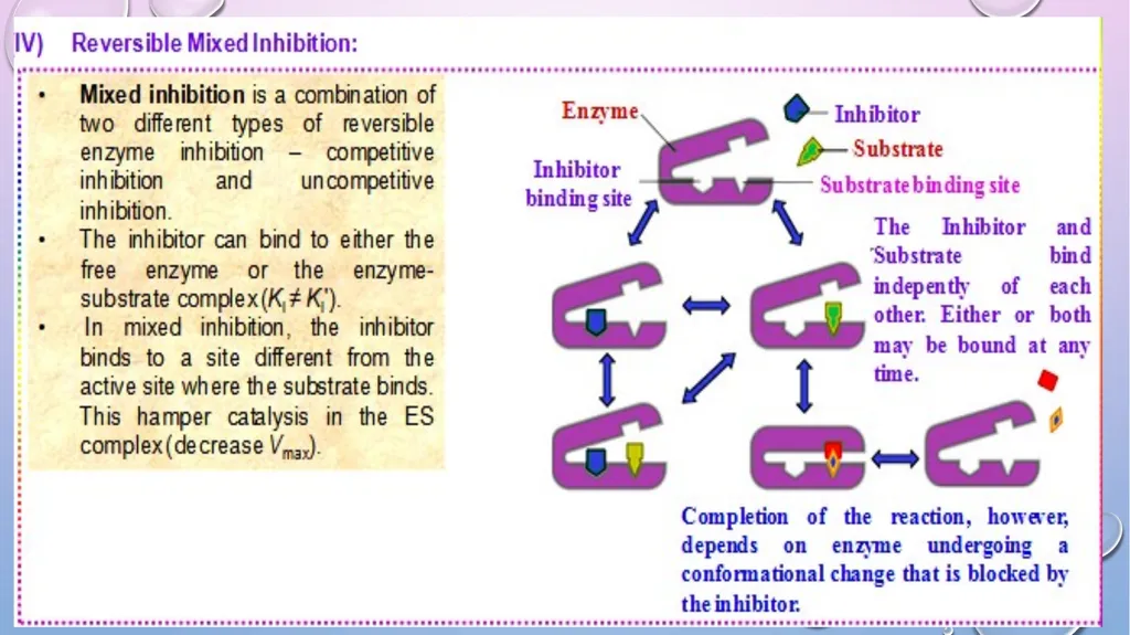Enzyme Inhibition By-Shubhani singh thakur - slide 13 of 19
