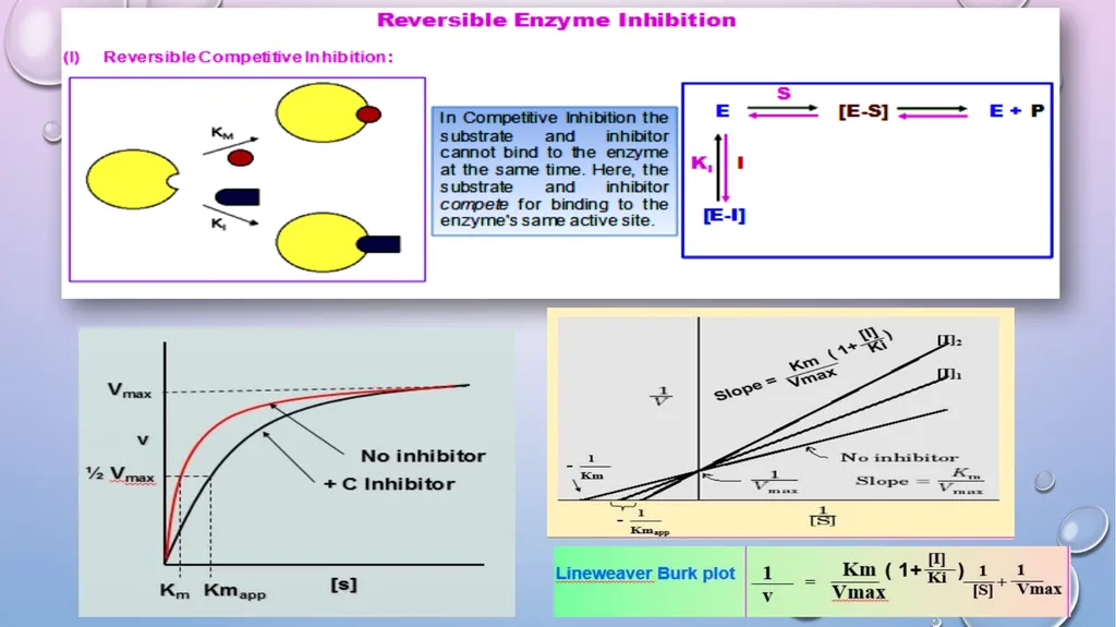 Enzyme Inhibition By-Shubhani singh thakur - slide 7 of 19