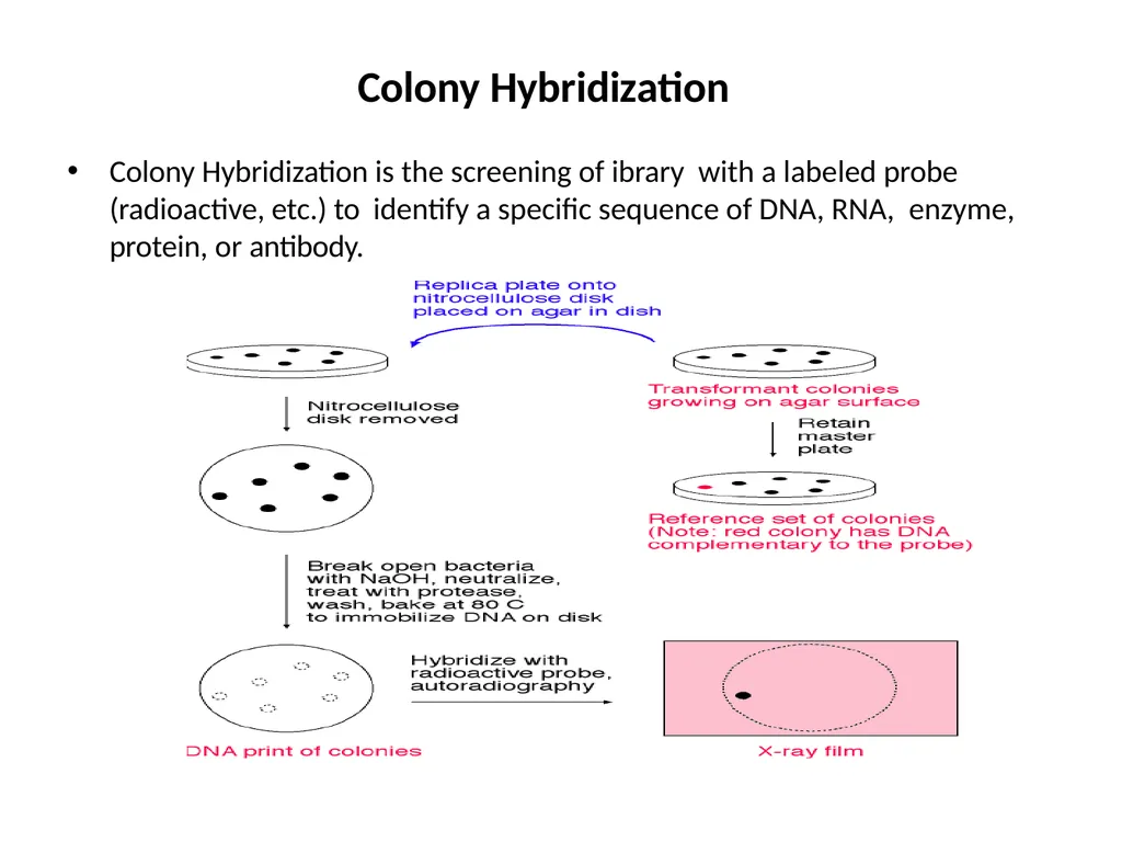 LIBRARY CONSTRUCTION AND SCREENING S. YAMINI - slide 15 of 27