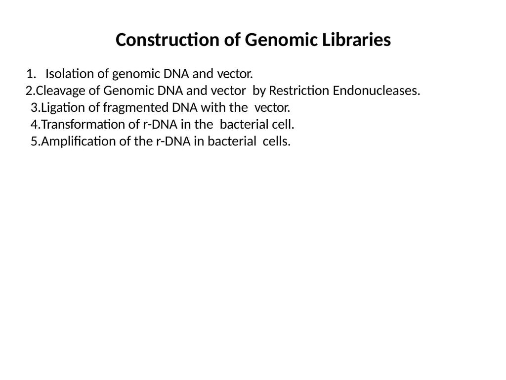 LIBRARY CONSTRUCTION AND SCREENING S. YAMINI - slide 7 of 27