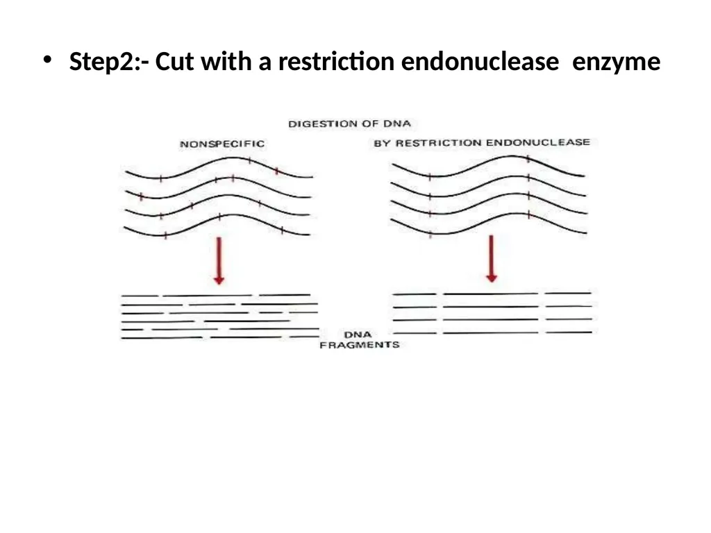 LIBRARY CONSTRUCTION AND SCREENING S. YAMINI - slide 9 of 27