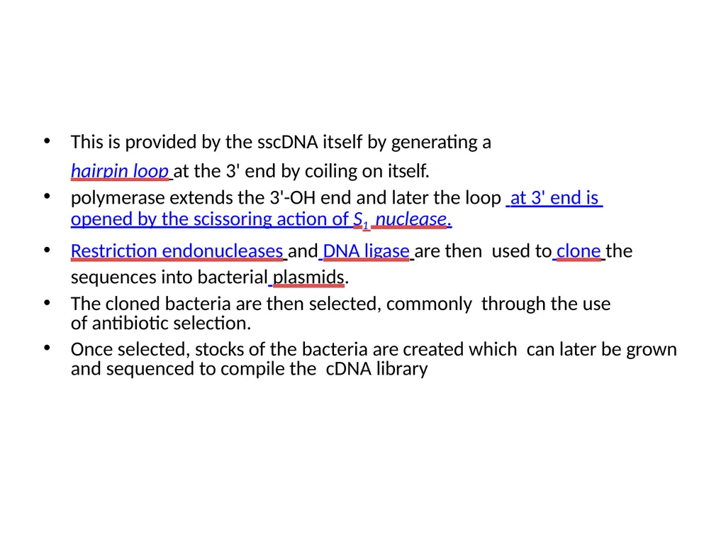 LIBRARY CONSTRUCTION AND SCREENING S. YAMINI - slide 23 of 27