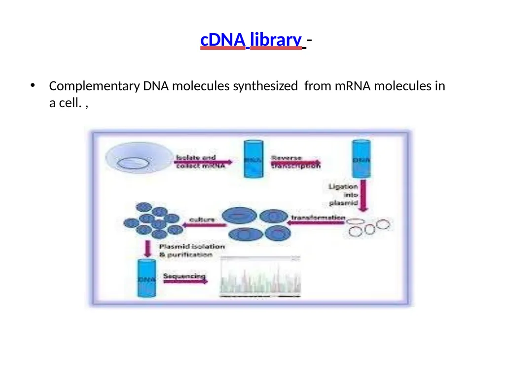 LIBRARY CONSTRUCTION AND SCREENING S. YAMINI - slide 18 of 27