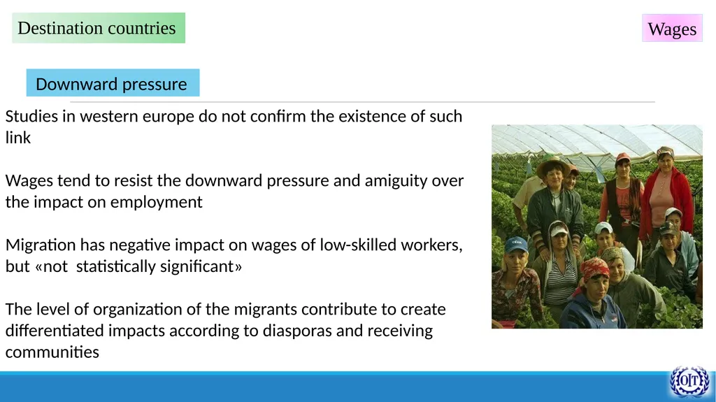 The link between Labour Market and Migration and - slide 7 of 13