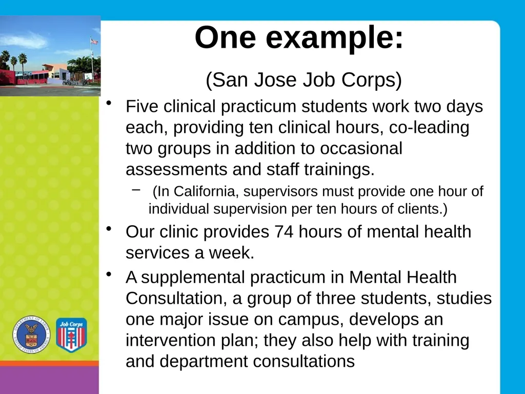 How to Develop a Mental Health Clinical and - slide 4 of 24