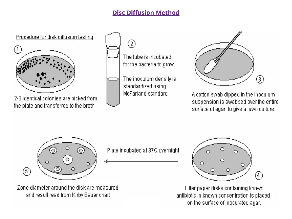 Unit VI Antimicrobial chemotherapy The term - slide 24 of 30