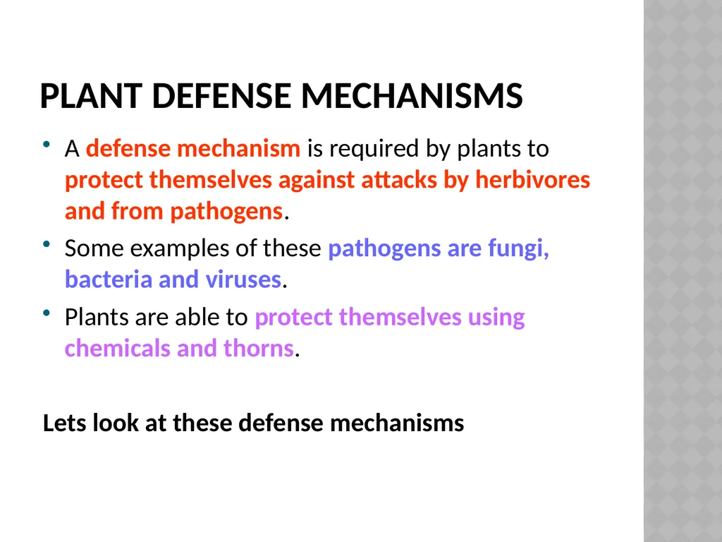 Life sciences Grade 12 CAPS structured, clear, - slide 23 of 50