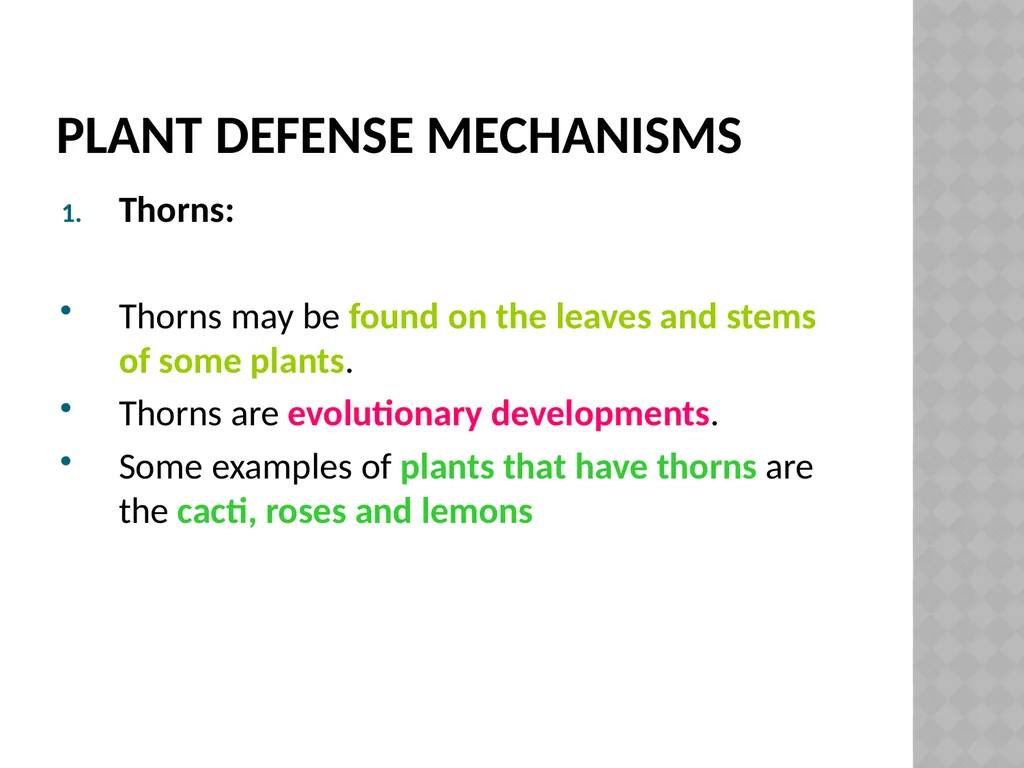 Life sciences Grade 12 CAPS structured, clear, - slide 24 of 50