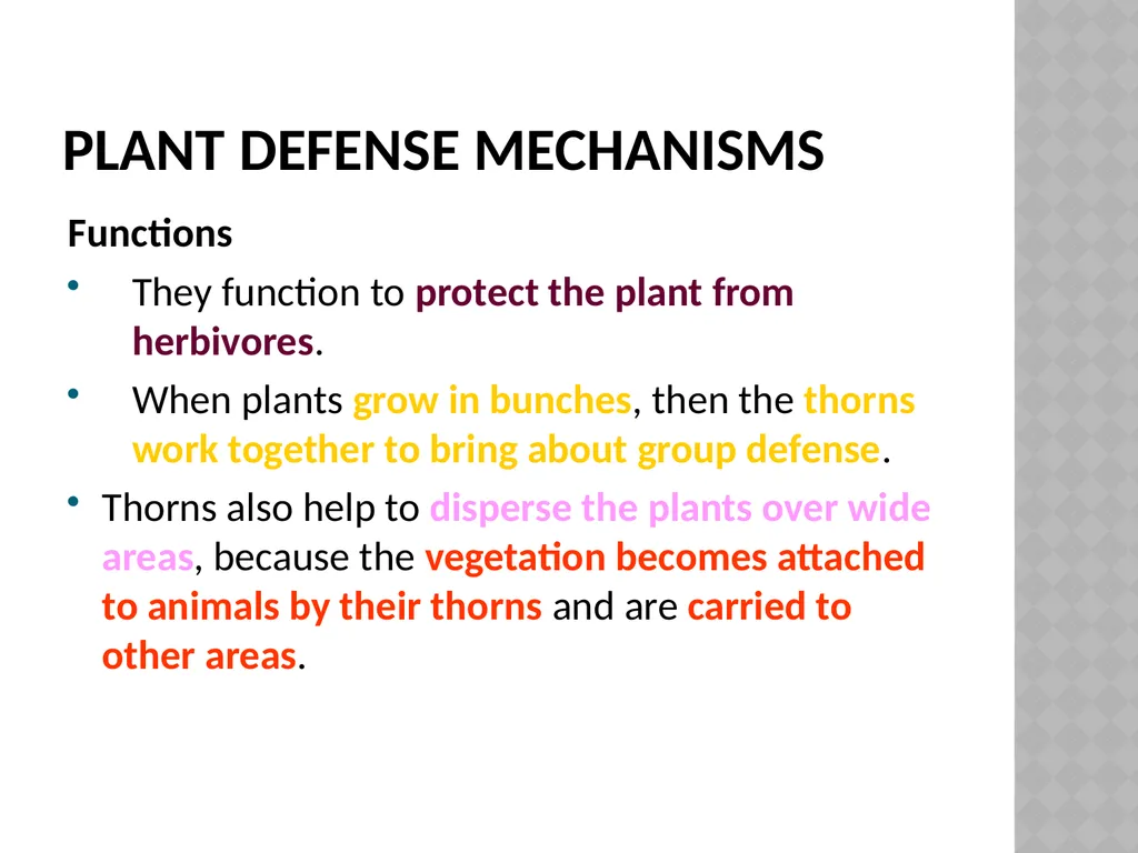 Life sciences Grade 12 CAPS structured, clear, - slide 25 of 50