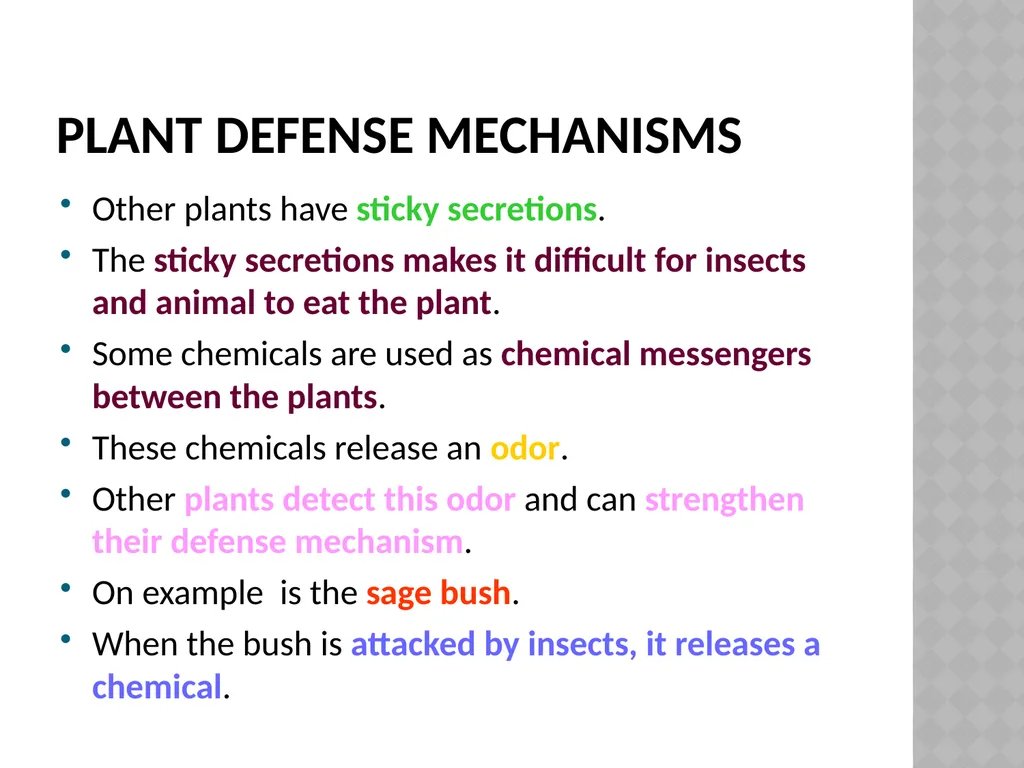 Life sciences Grade 12 CAPS structured, clear, - slide 27 of 50