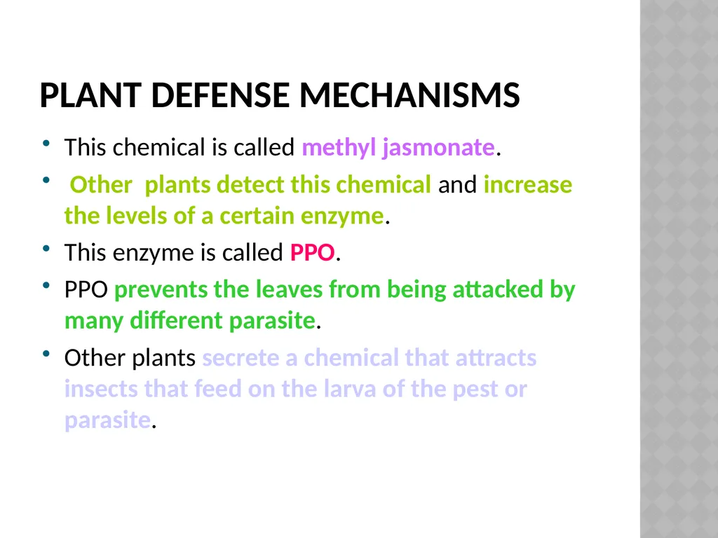 Life sciences Grade 12 CAPS structured, clear, - slide 28 of 50