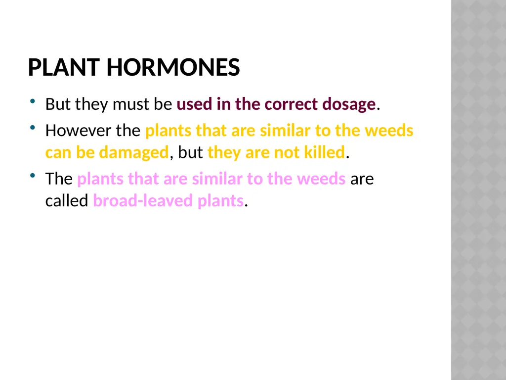 Life sciences Grade 12 CAPS structured, clear, - slide 11 of 50