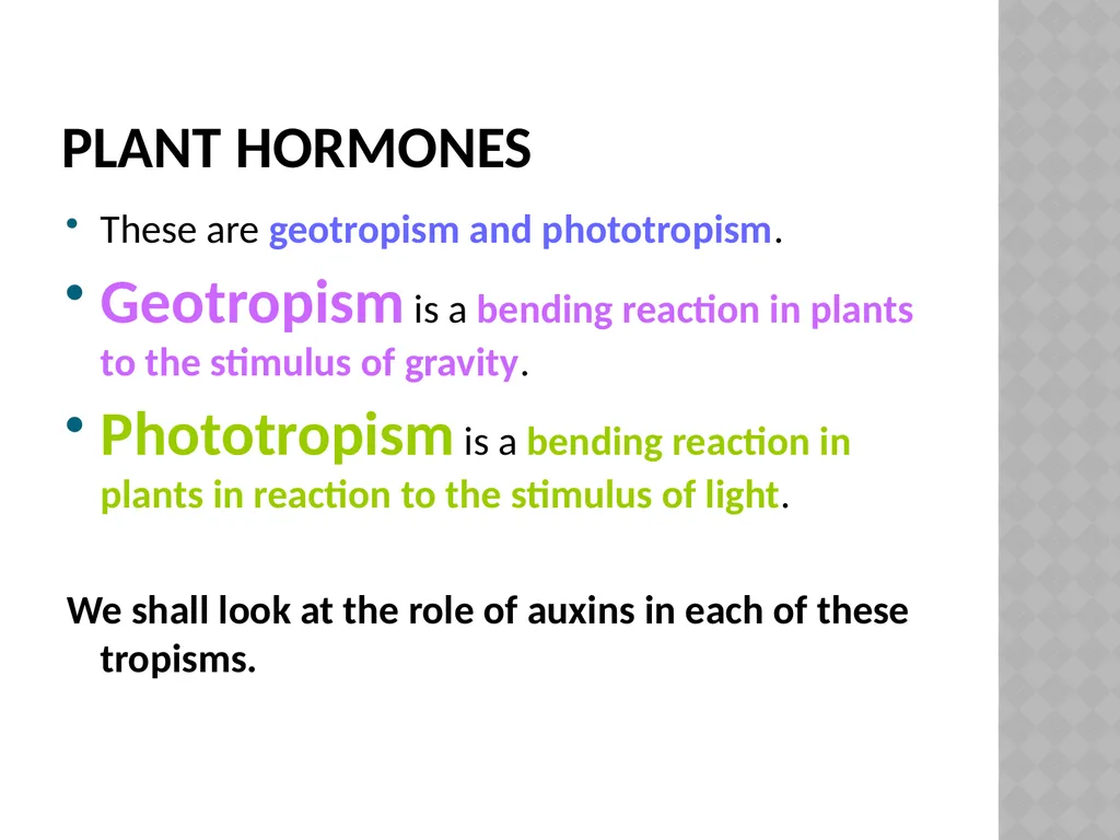 Life sciences Grade 12 CAPS structured, clear, - slide 16 of 50