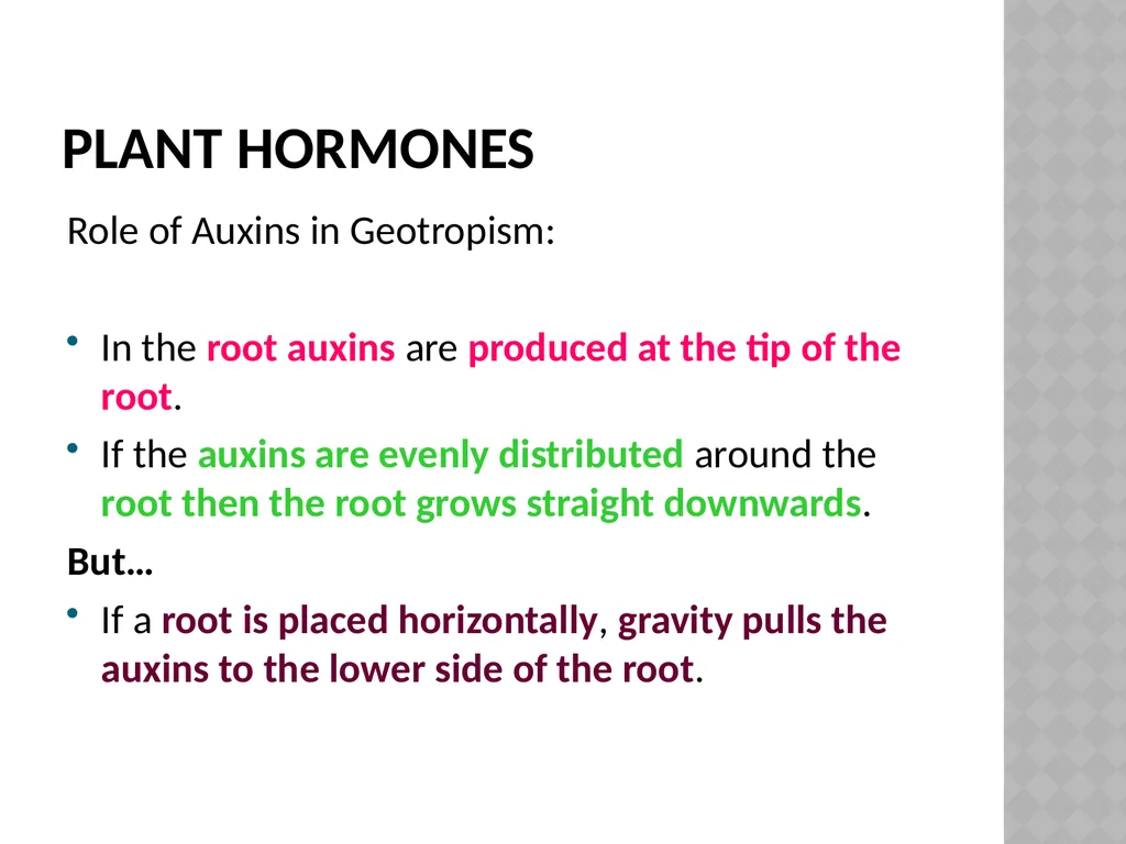 Life sciences Grade 12 CAPS structured, clear, - slide 19 of 50