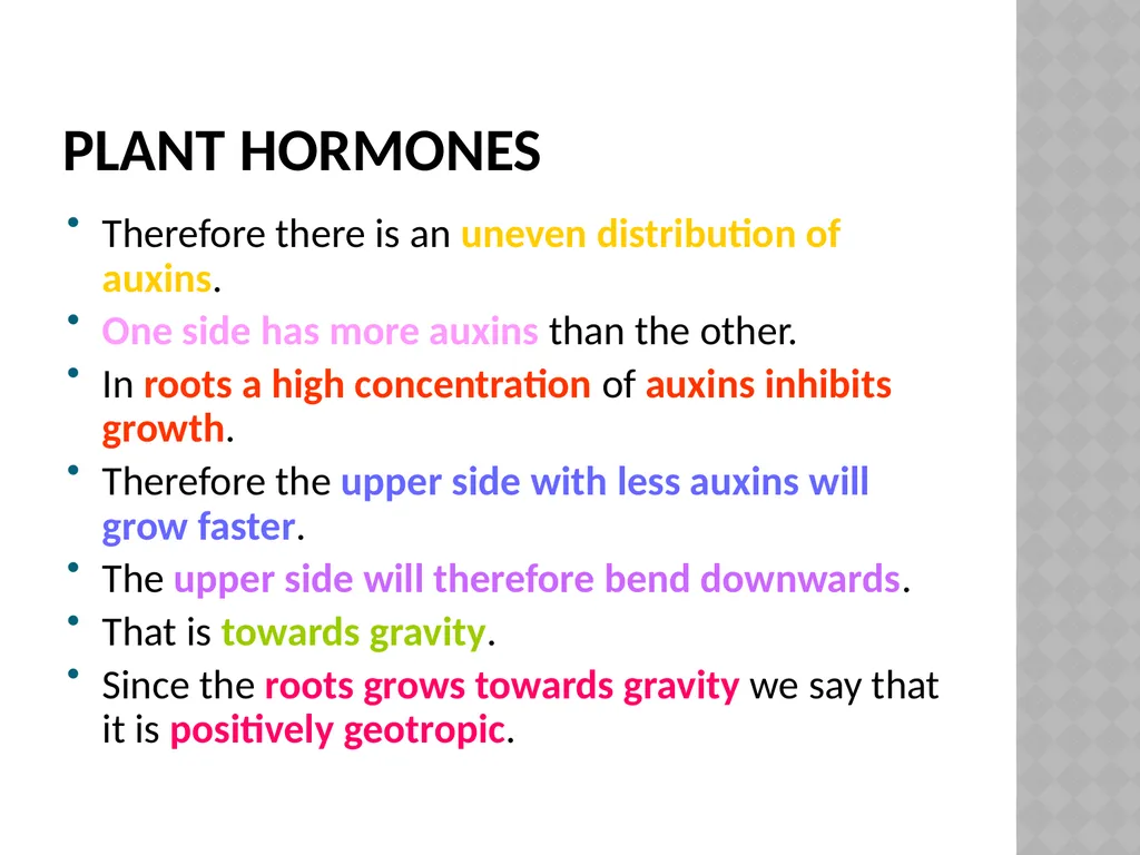 Life sciences Grade 12 CAPS structured, clear, - slide 20 of 50
