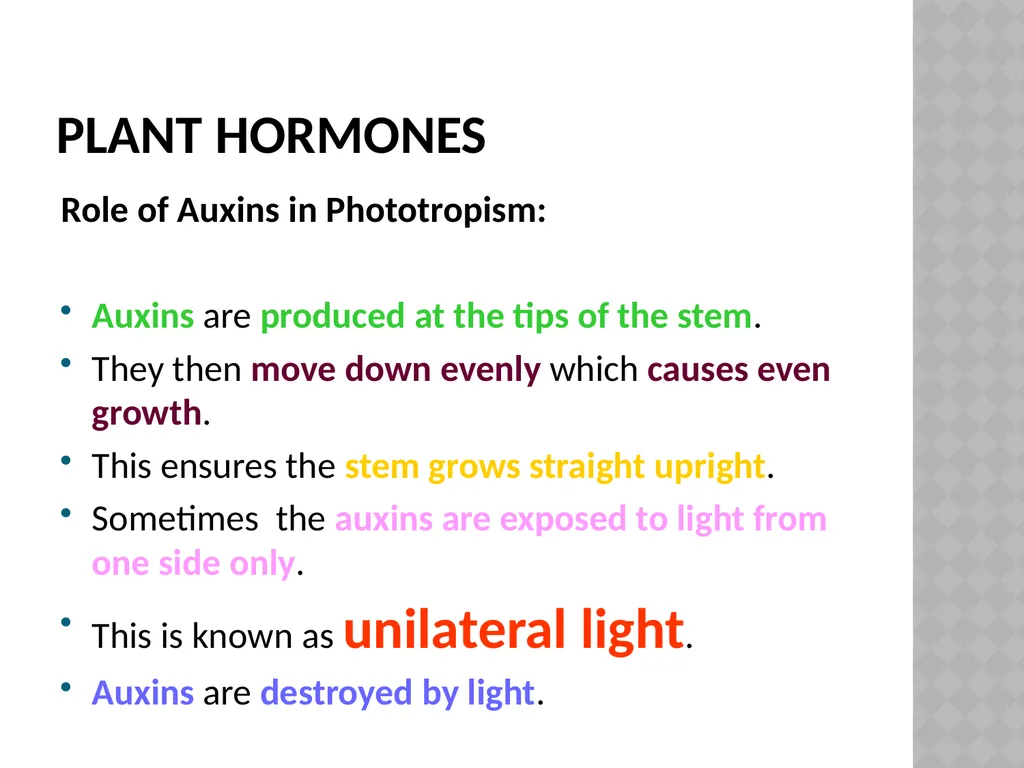 Life sciences Grade 12 CAPS structured, clear, - slide 21 of 50
