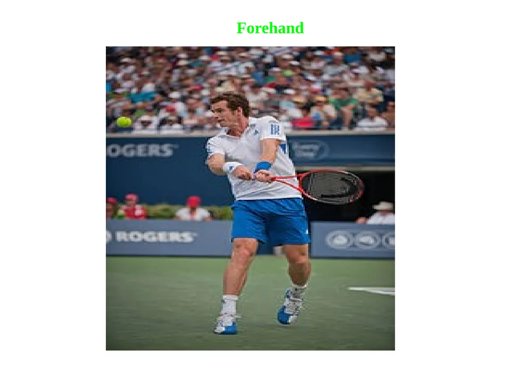 Chapter one Historical background of Tennis table - slide 111 of 118