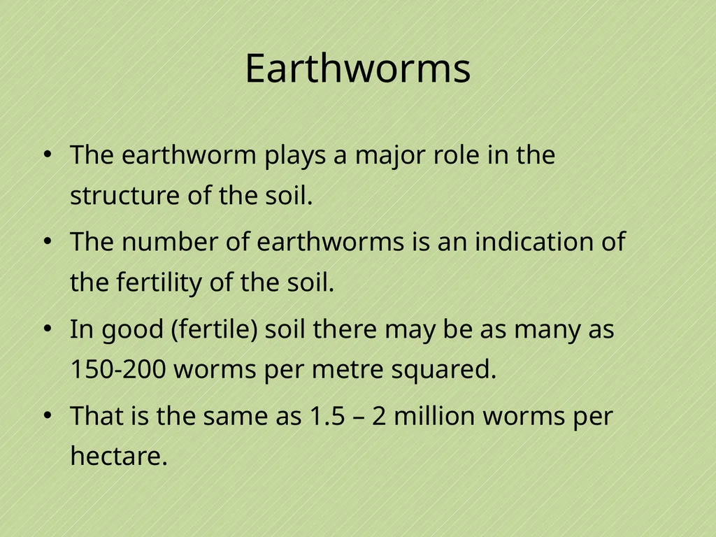 Leaving Certificate Agricultural Science Soil - slide 20 of 42