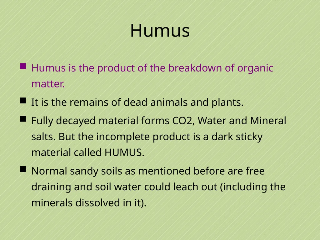 Leaving Certificate Agricultural Science Soil - slide 13 of 42