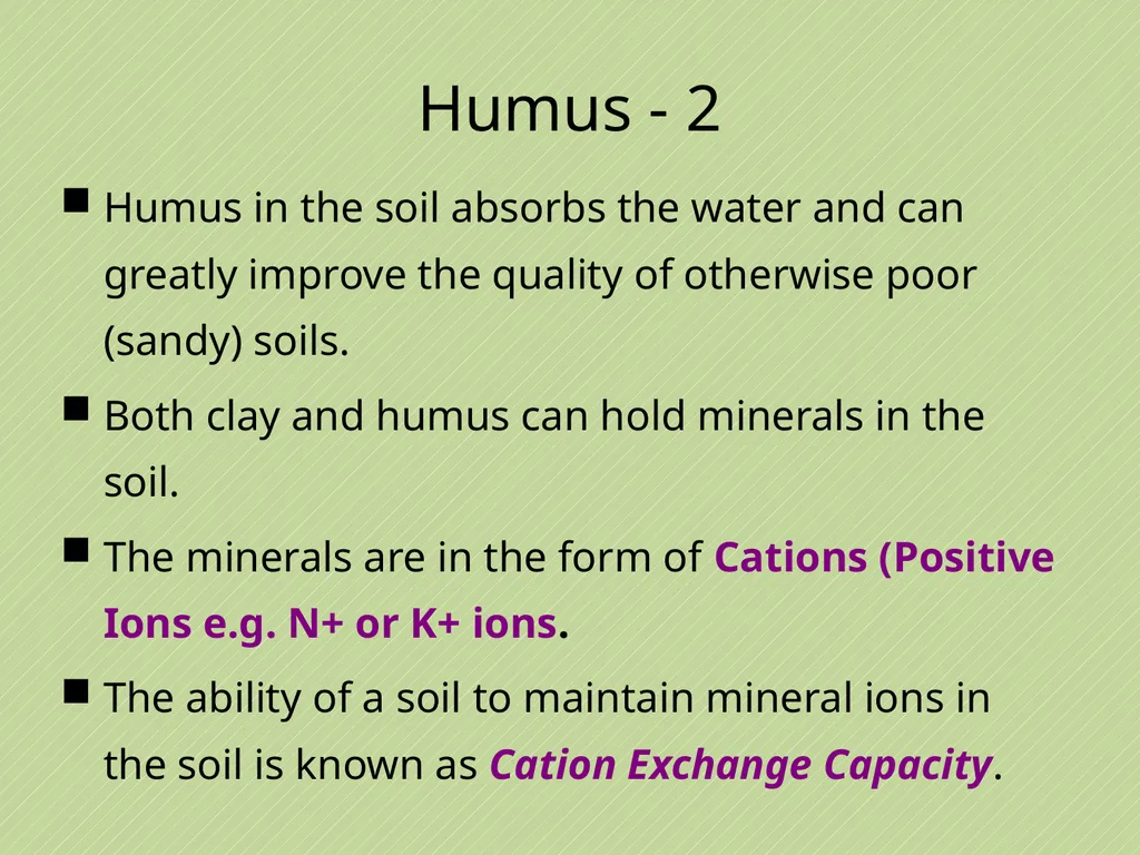 Leaving Certificate Agricultural Science Soil - slide 14 of 42