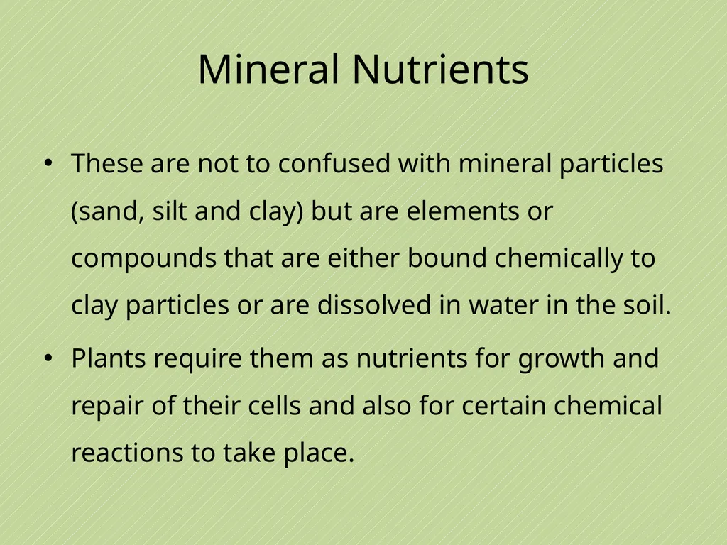 Leaving Certificate Agricultural Science Soil - slide 31 of 42