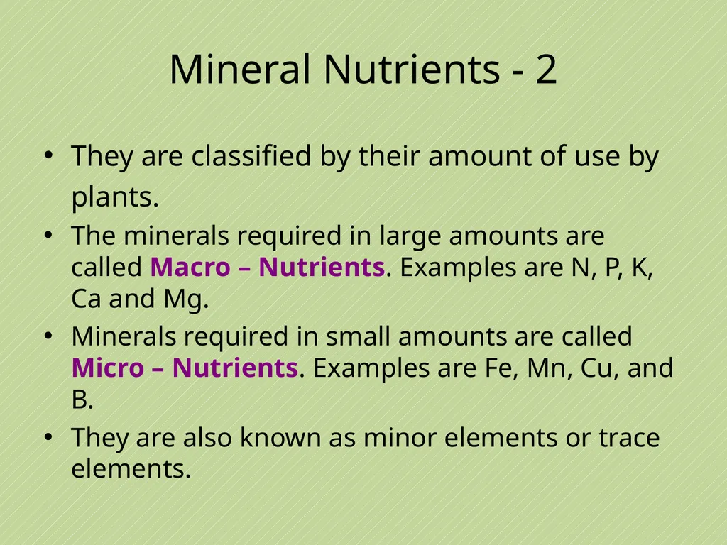 Leaving Certificate Agricultural Science Soil - slide 32 of 42