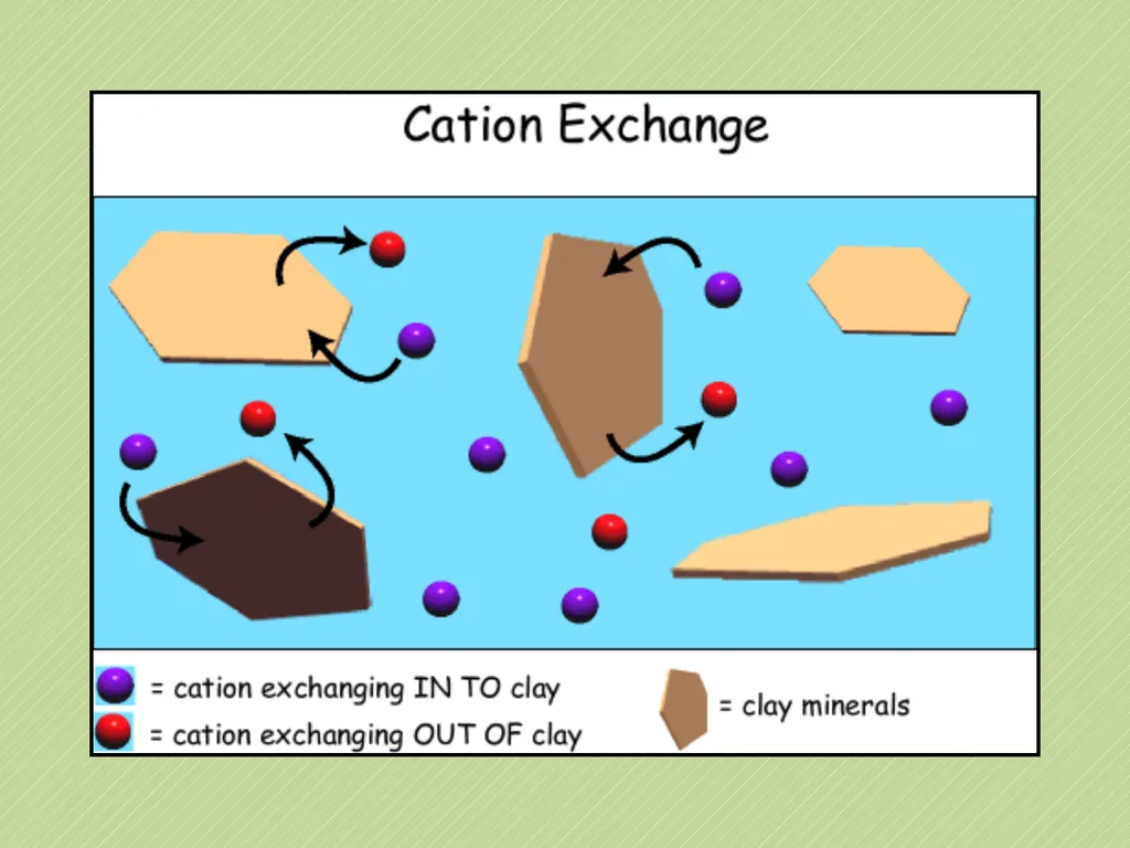 Leaving Certificate Agricultural Science Soil - slide 42 of 42