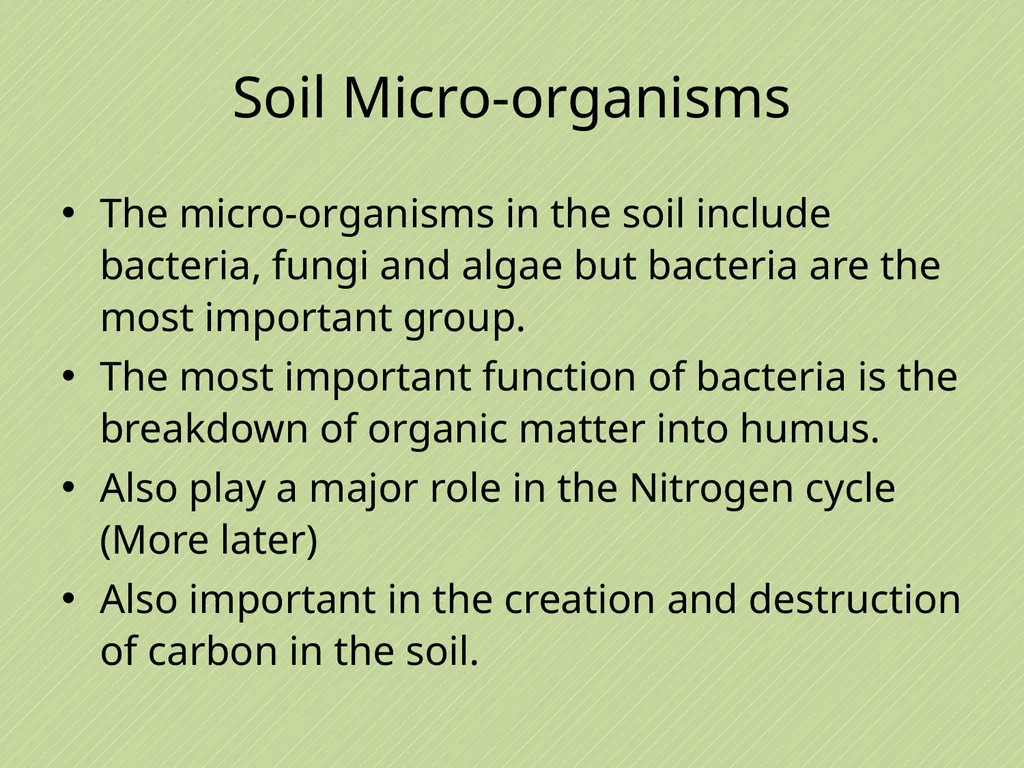 Leaving Certificate Agricultural Science Soil - slide 19 of 42