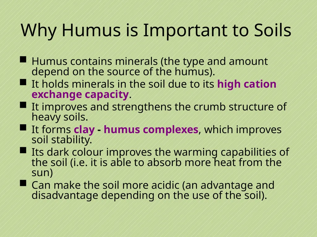 Leaving Certificate Agricultural Science Soil - slide 15 of 42