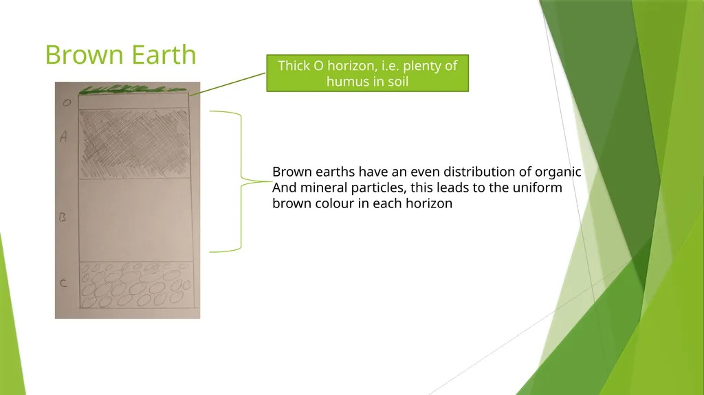 Soil Profiles Leaving Cert. Agricultural Science - slide 5 of 8