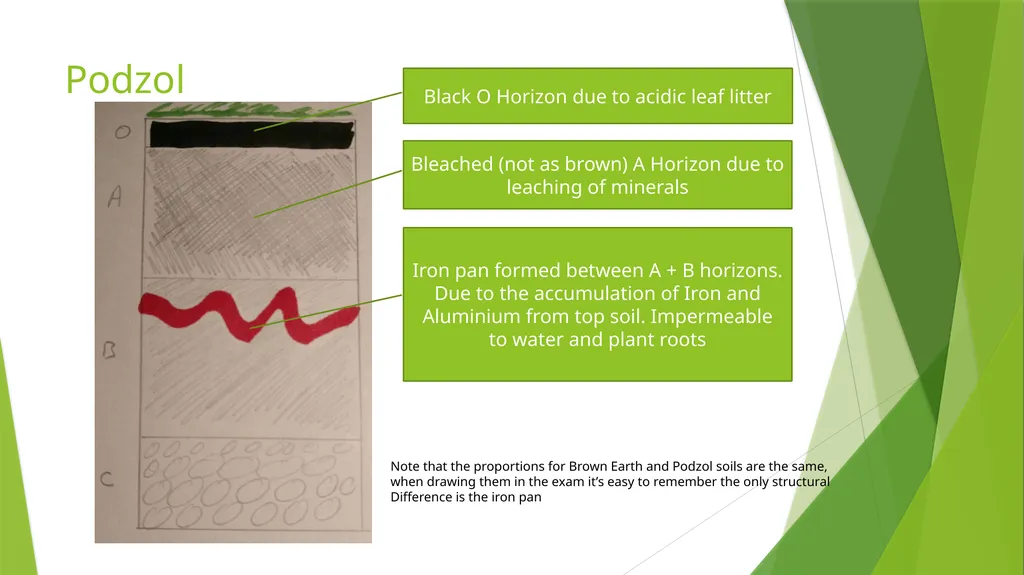 Soil Profiles Leaving Cert. Agricultural Science - slide 6 of 8