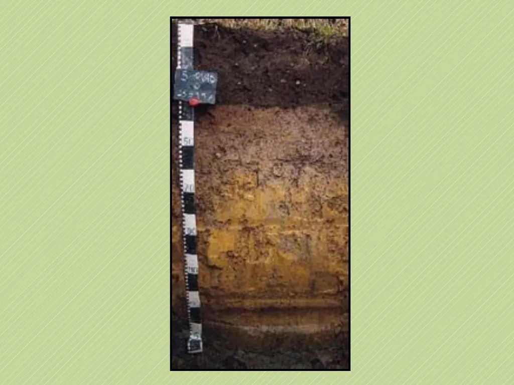 Leaving Certificate Agricultural Science Soil - slide 12 of 18