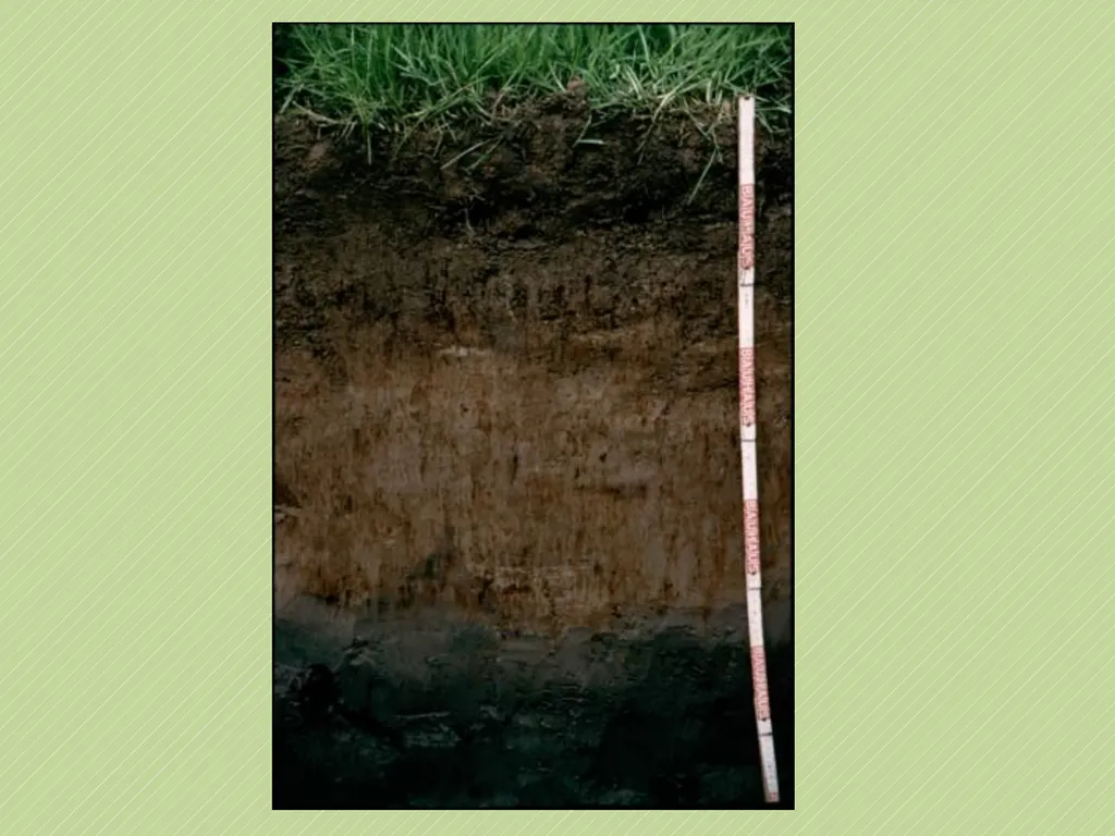 Leaving Certificate Agricultural Science Soil - slide 15 of 18
