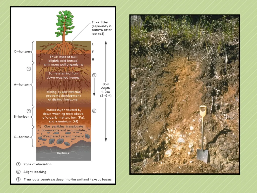 Leaving Certificate Agricultural Science Soil - slide 6 of 18