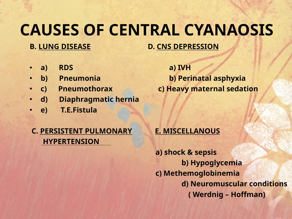 Cyanotic congenital heart disease BY MBBSPPT.COM - slide 3 of 41