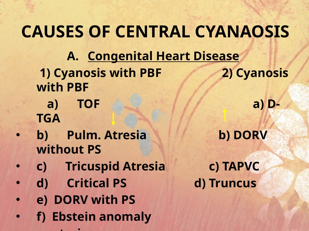Cyanotic congenital heart disease BY MBBSPPT.COM - slide 2 of 41